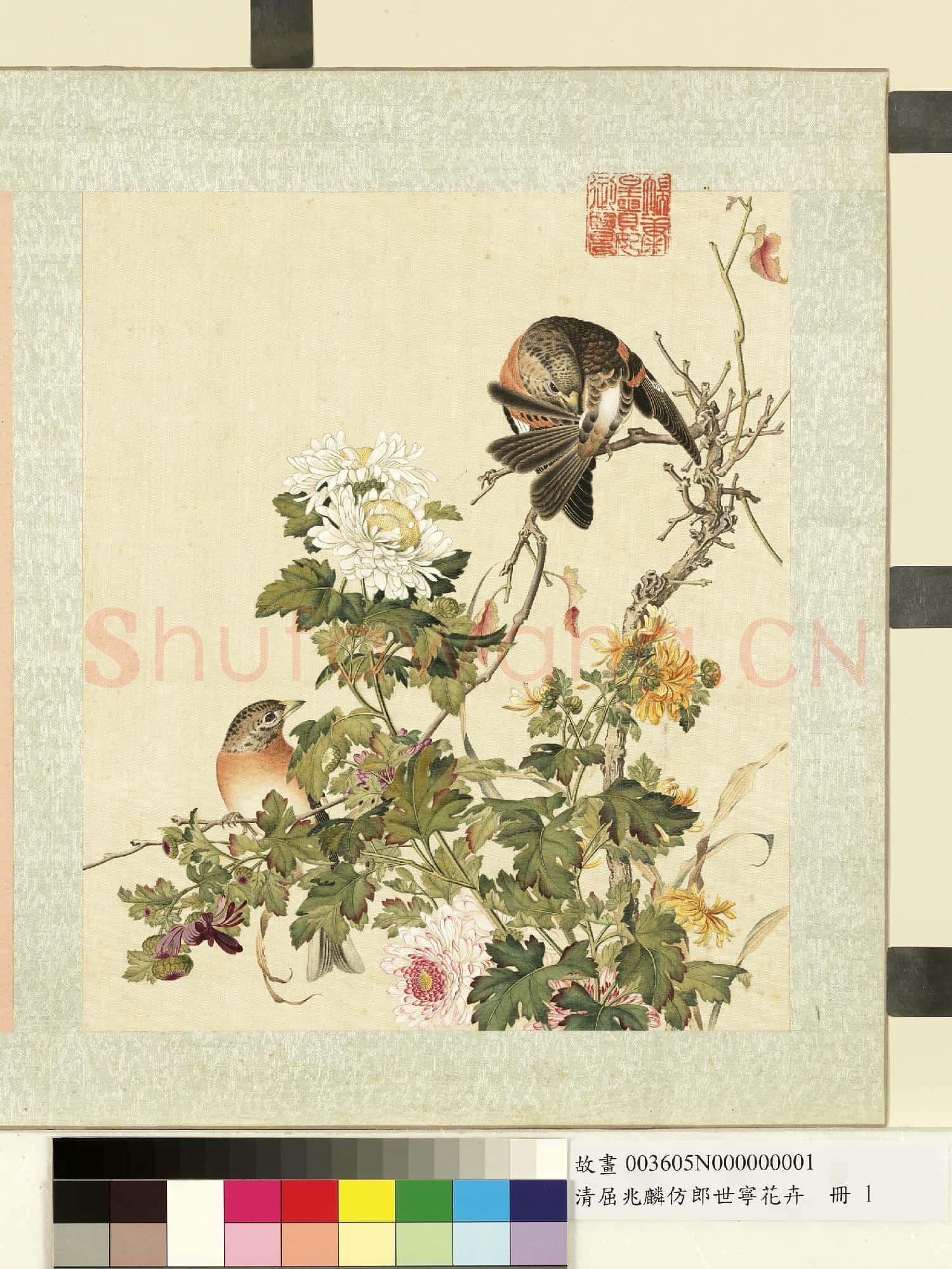 清屈兆麟仿郎世寧花卉.冊.菊花故畫