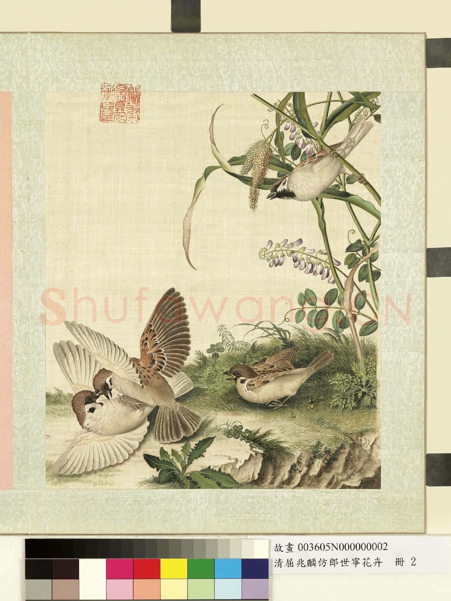 清屈兆麟仿郎世寧花卉.冊.麻雀稷穗故畫