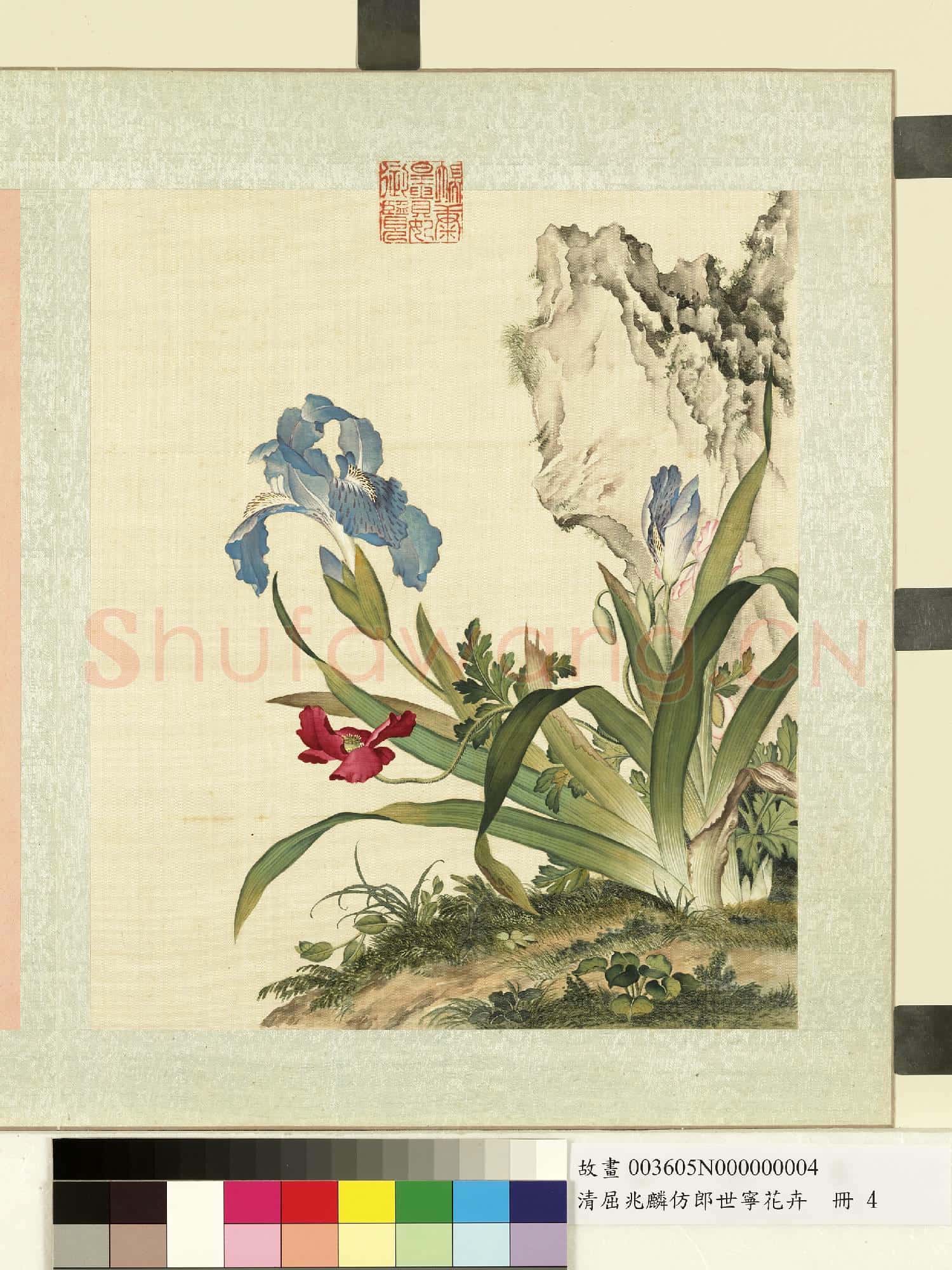 清屈兆麟仿郎世寧花卉.冊.鳶尾虞美人故畫