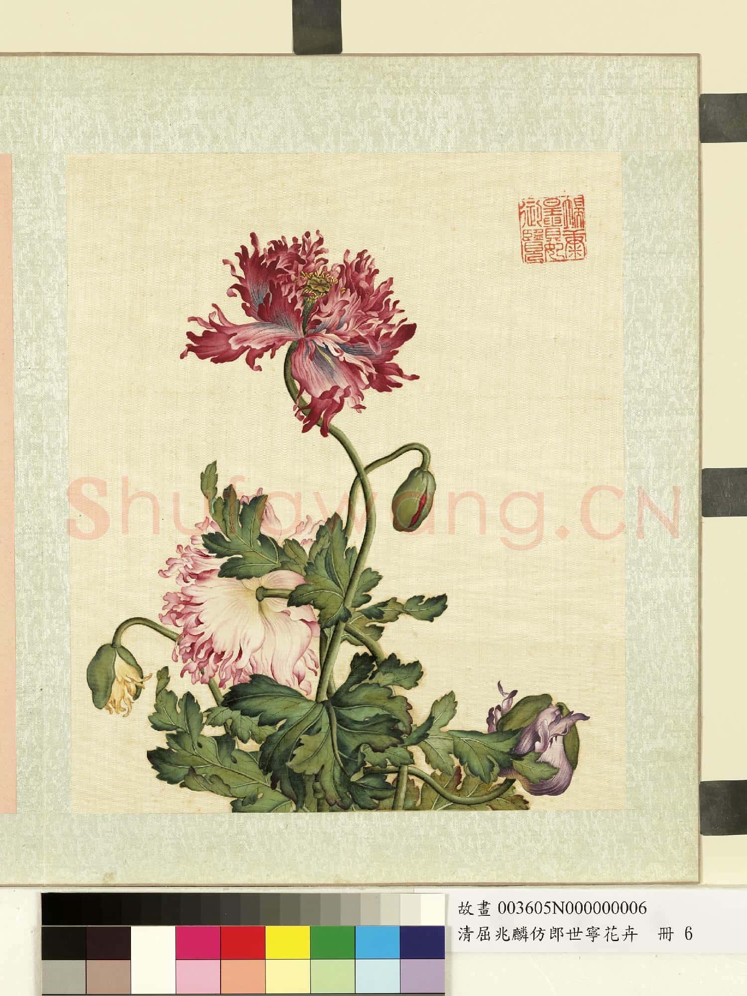 清屈兆麟仿郎世寧花卉.冊.罌粟故畫