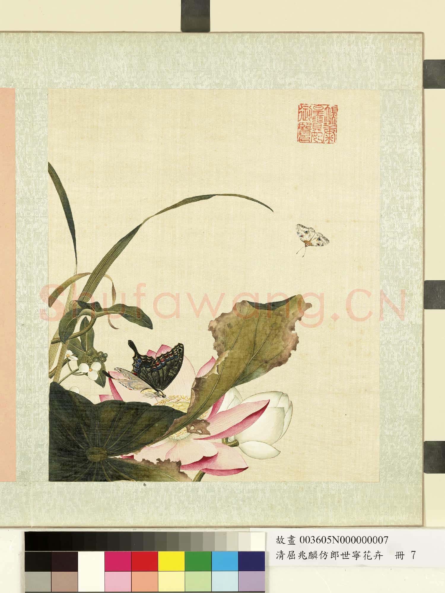 清屈兆麟仿郎世寧花卉.冊.荷花蝴蝶故畫