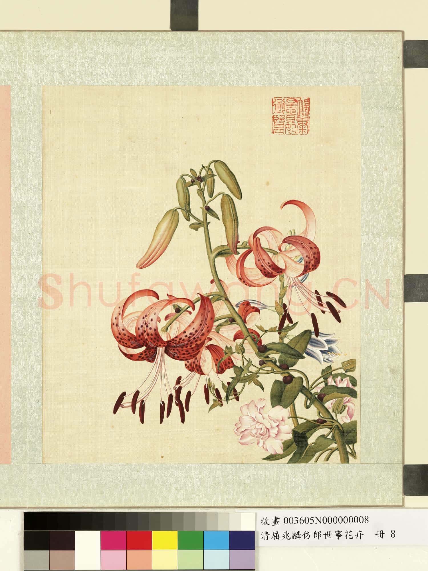 清屈兆麟仿郎世寧花卉.冊.姬百合纏枝牡丹故畫