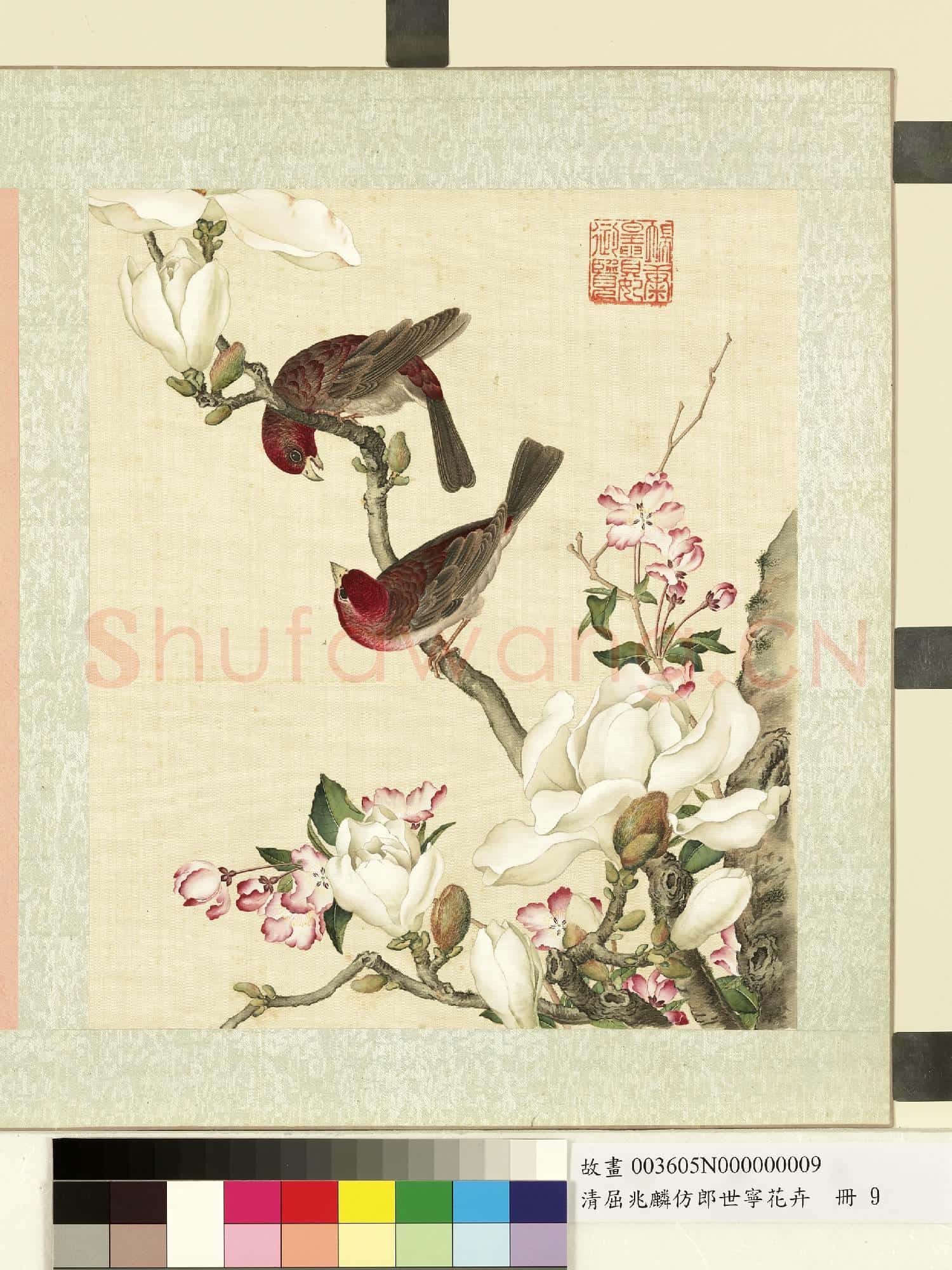 清屈兆麟仿郎世寧花卉.冊.辛夷海棠酒紅朱雀故畫