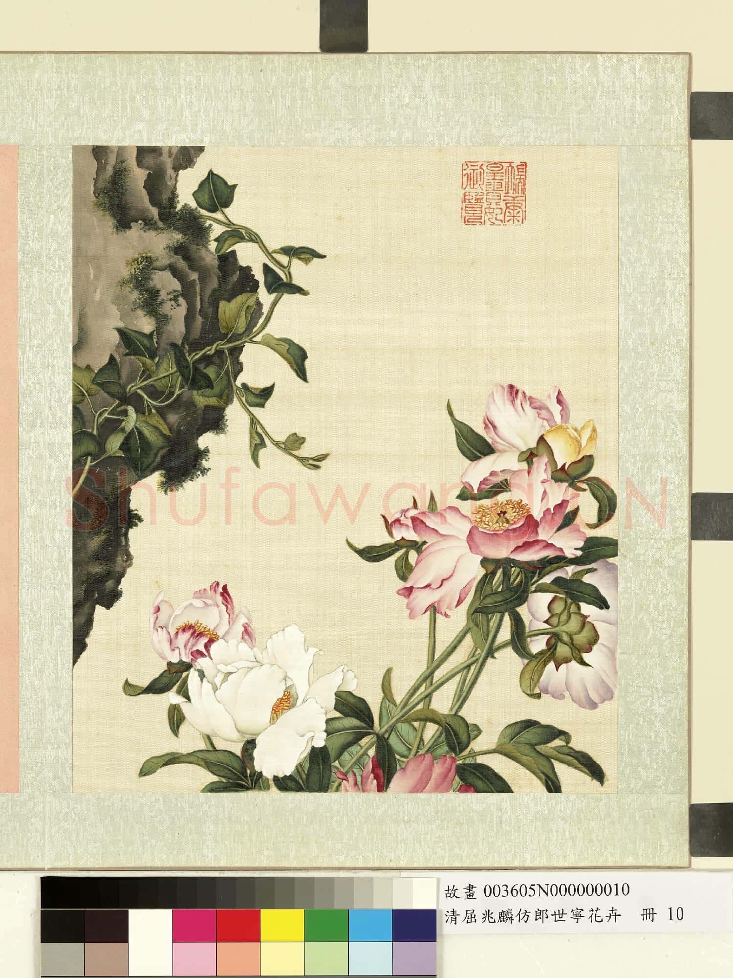 清屈兆麟仿郎世寧花卉.冊.芍藥故畫