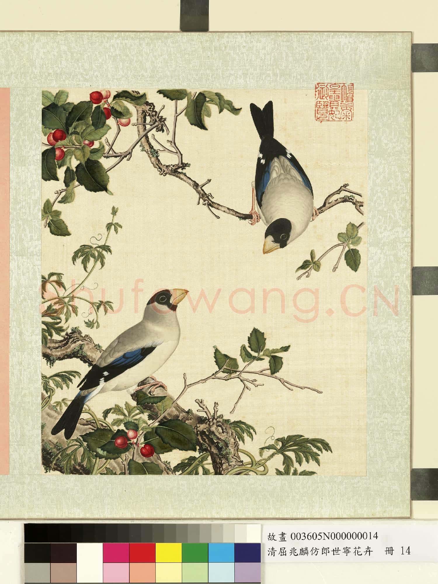 清屈兆麟仿郎世寧花卉.冊.櫻桃桑鳲故畫