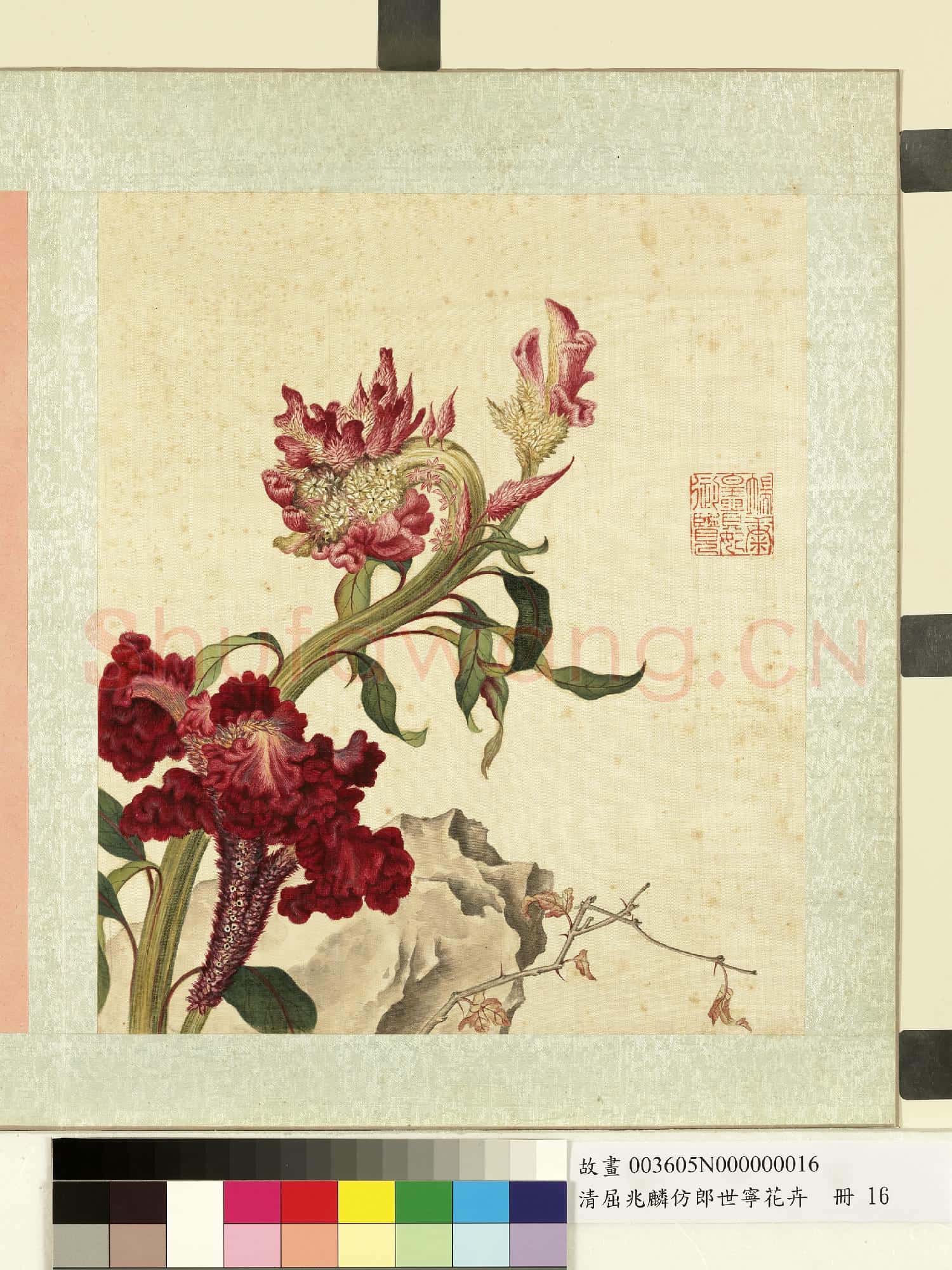 清屈兆麟仿郎世寧花卉.冊.雞冠花故畫