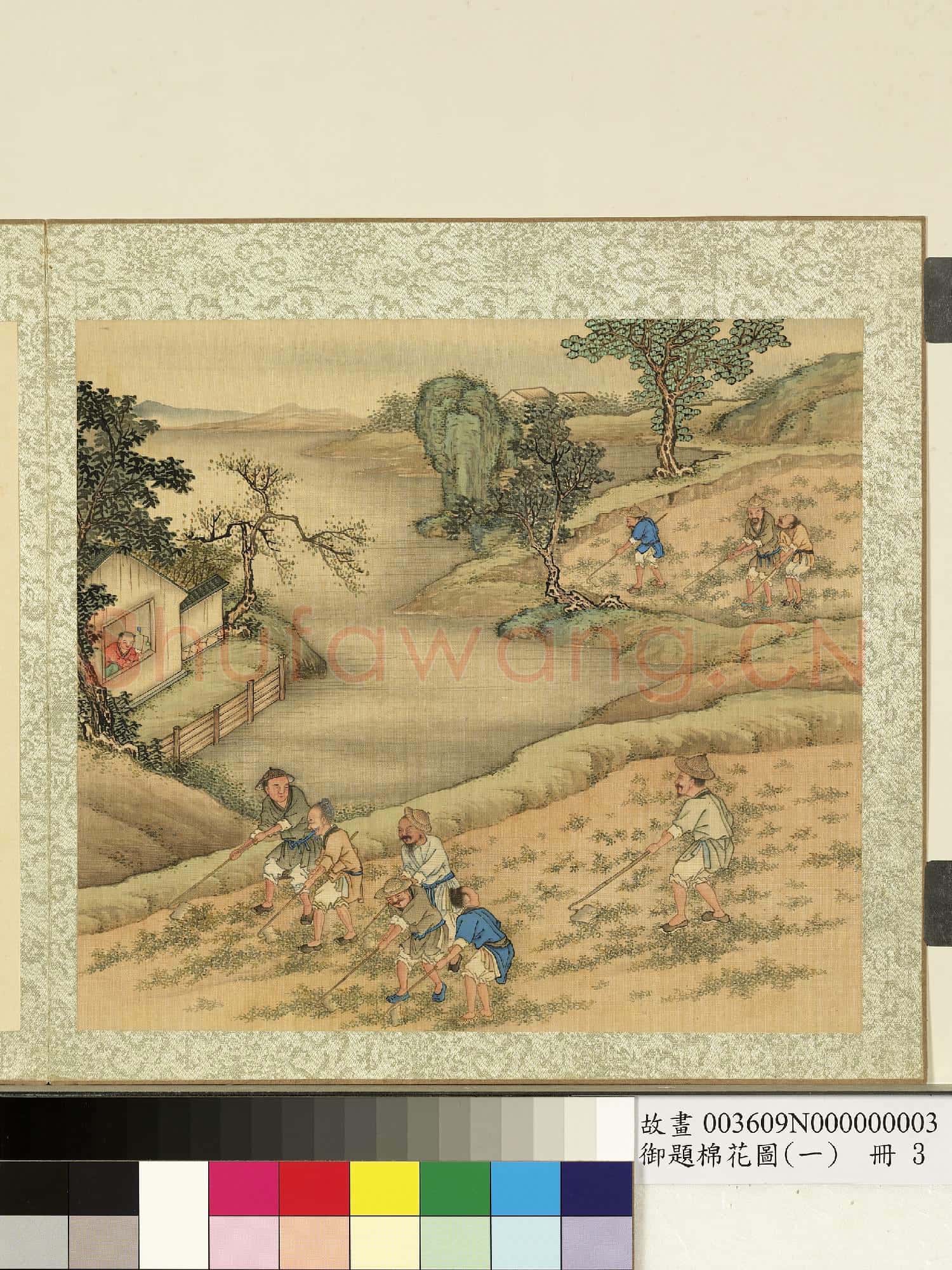 御題棉花圖(一)冊.耘畦故畫