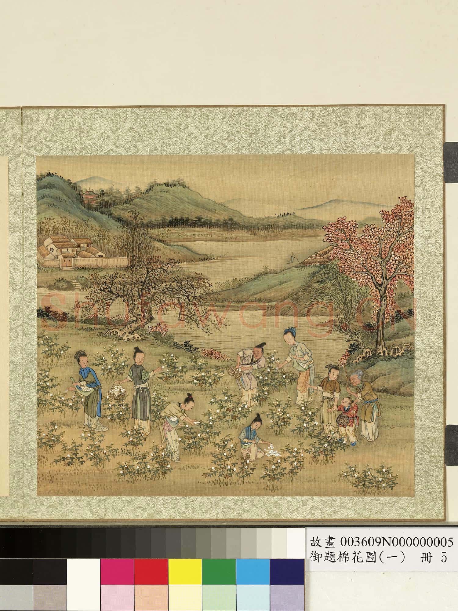 御題棉花圖(一)冊.採棉故畫