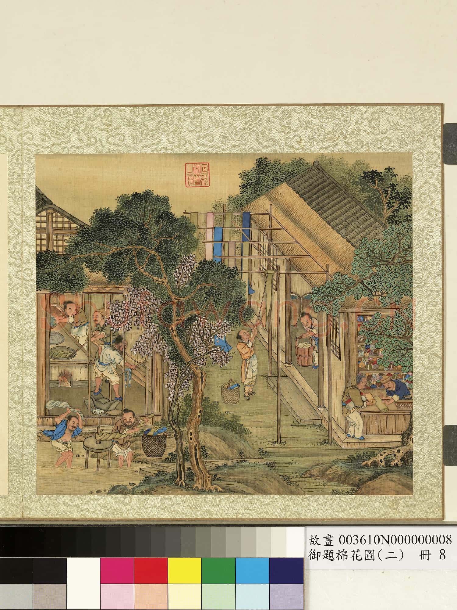 御題棉花圖(二)冊.練染故畫
