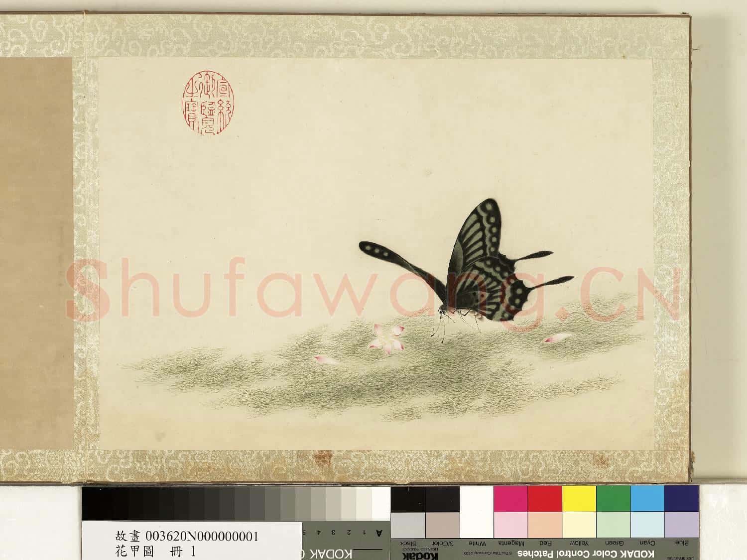 花甲圖.冊.蝴蝶(一)故畫
