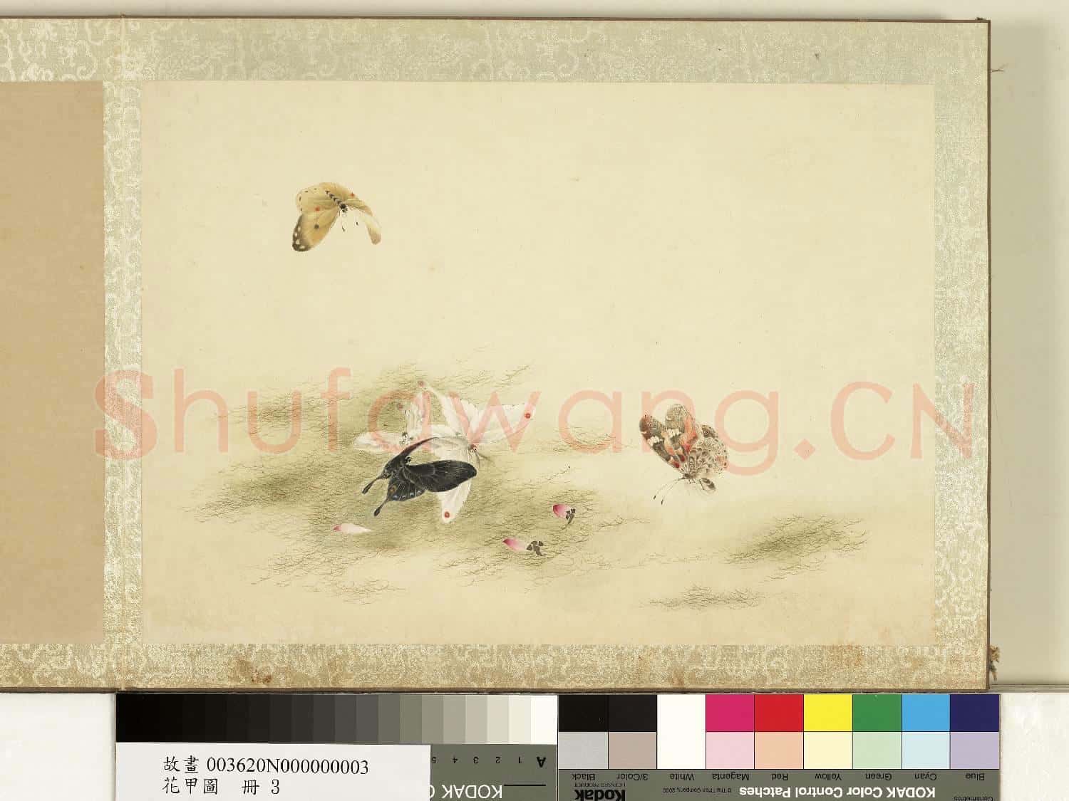 花甲圖.冊.蝴蝶(三)故畫