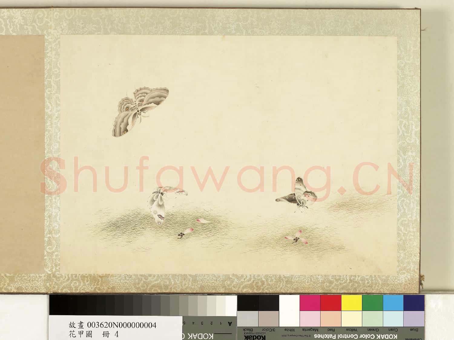 花甲圖.冊.蝴蝶(四)故畫