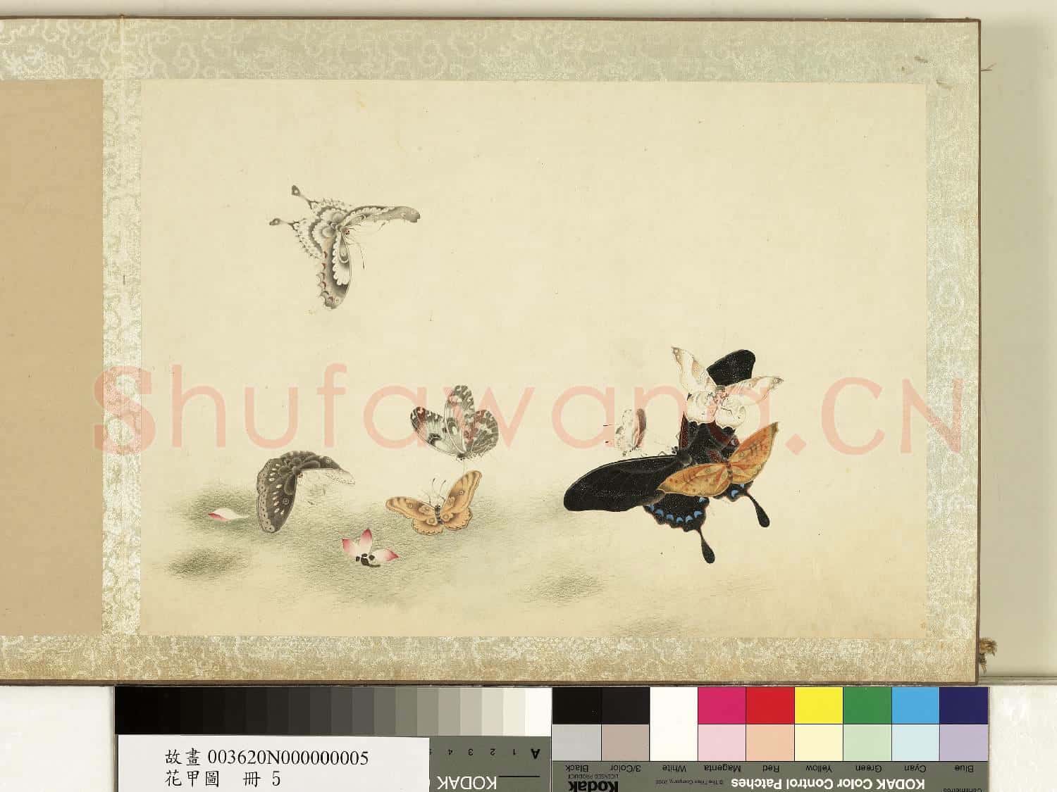 花甲圖.冊.蝴蝶(五)故畫