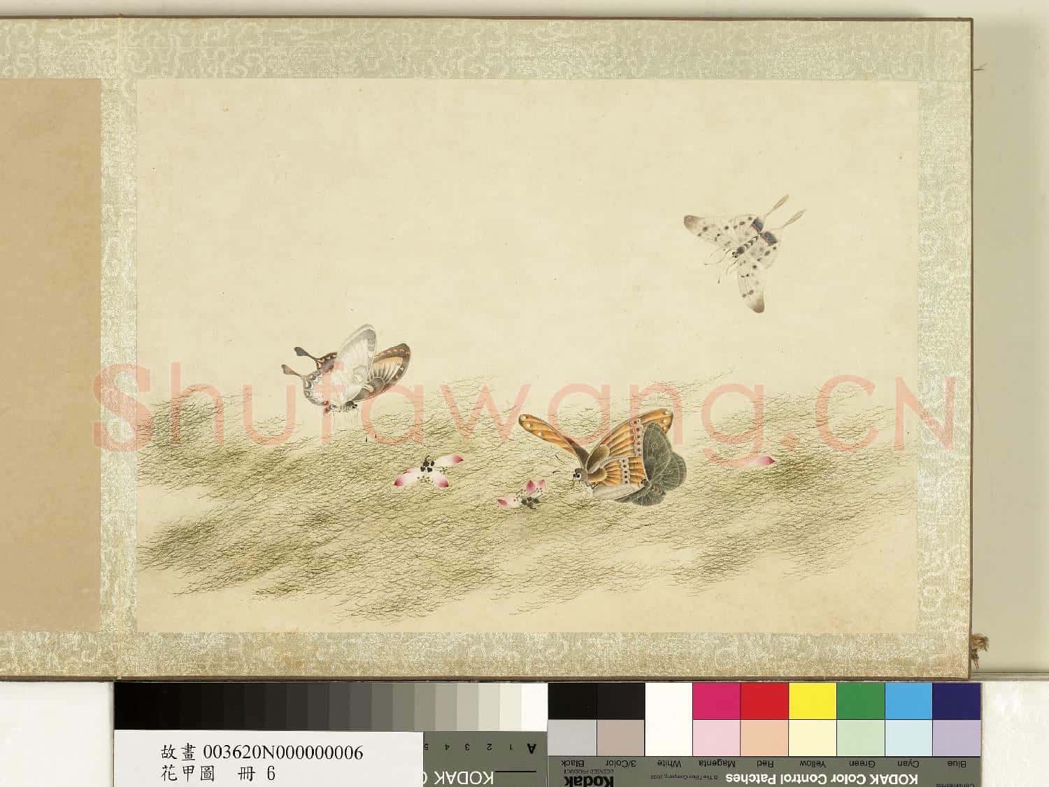花甲圖.冊.蝴蝶(六)故畫