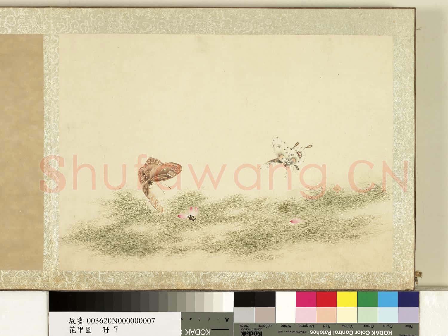 花甲圖.冊.蝴蝶(七)故畫