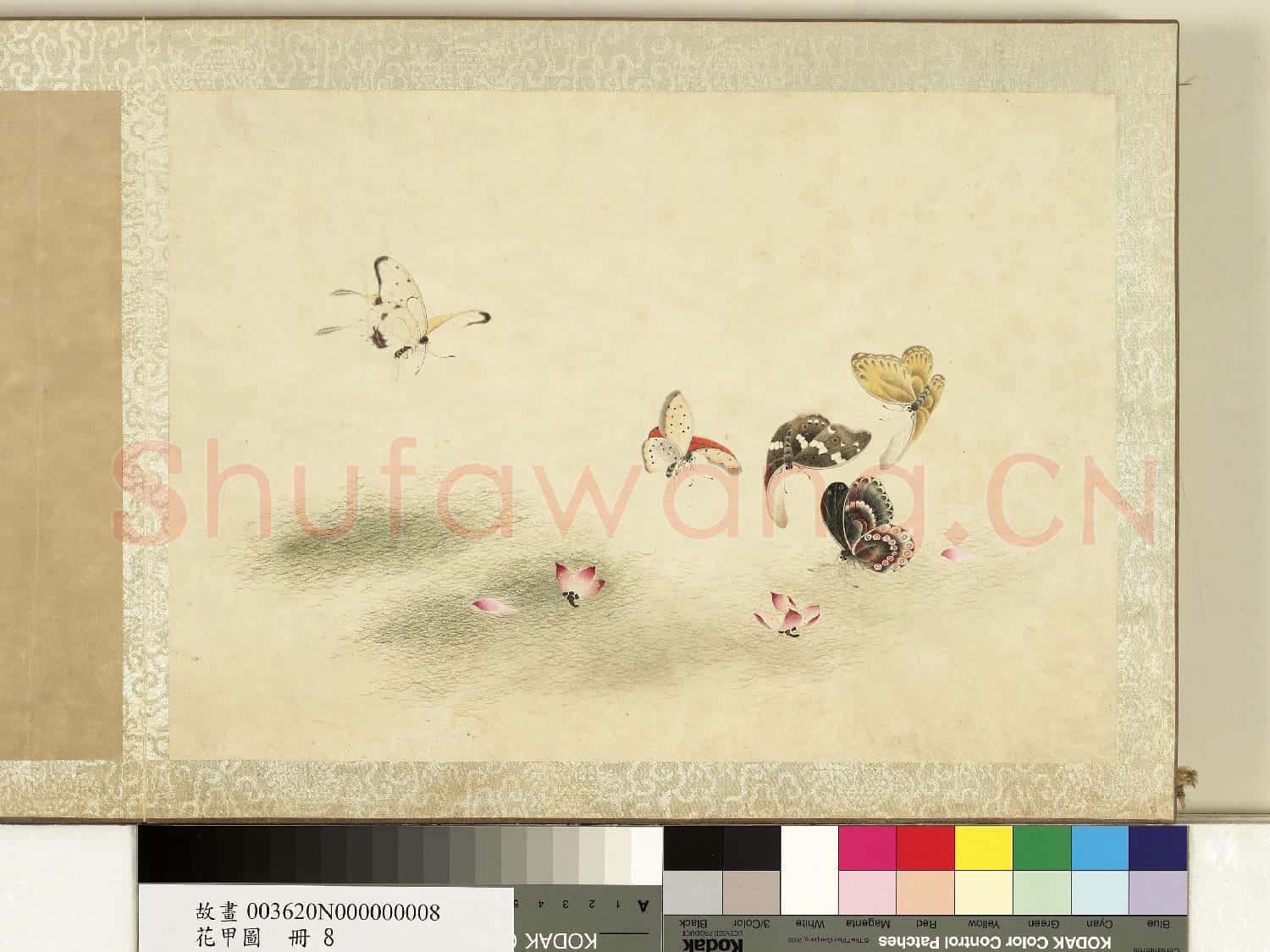 花甲圖.冊.蝴蝶(八)故畫