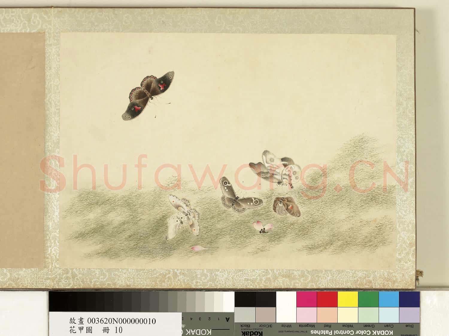 花甲圖.冊.蝴蝶(十)故畫