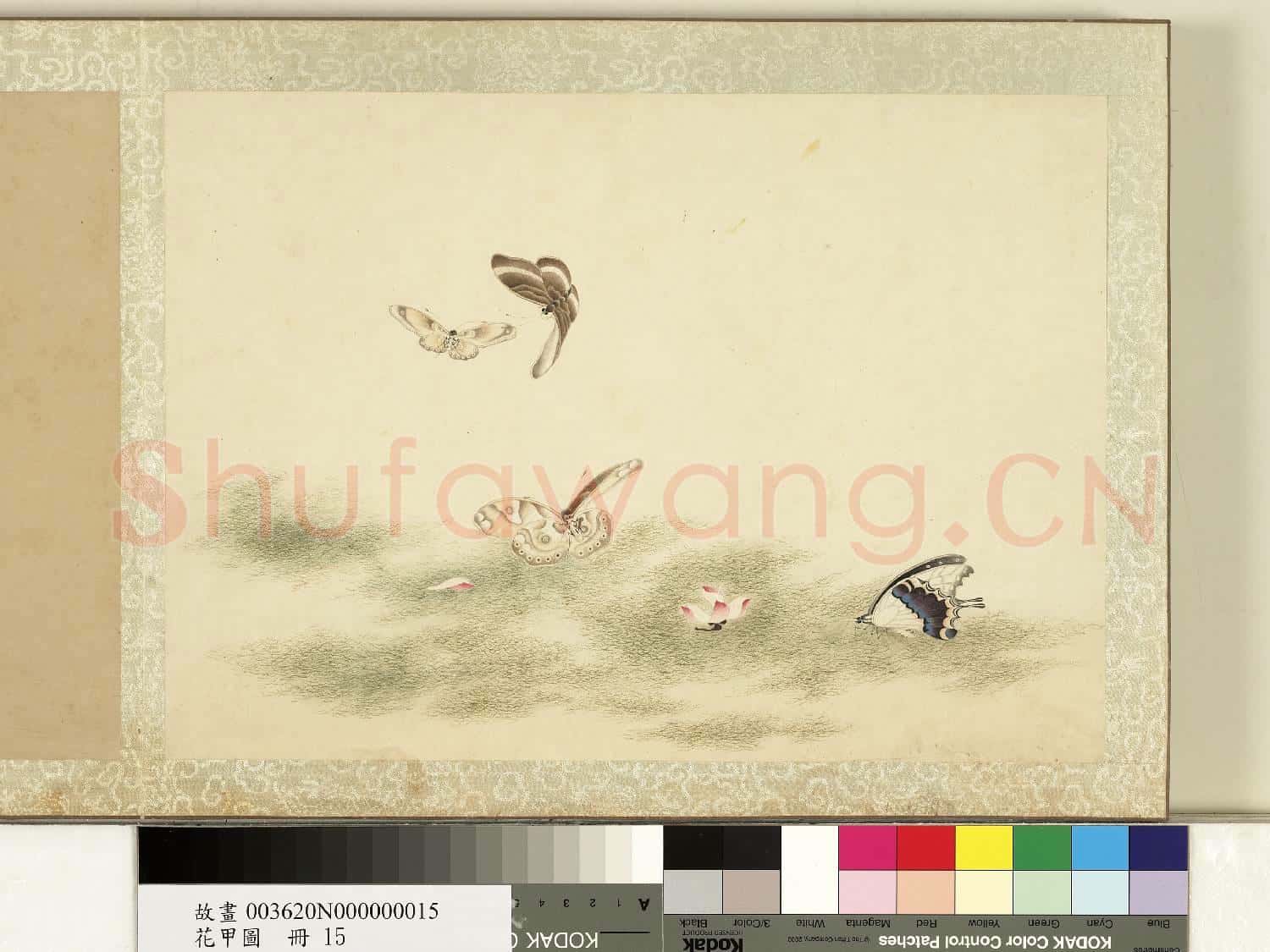 花甲圖.冊.蝴蝶(十五)故畫