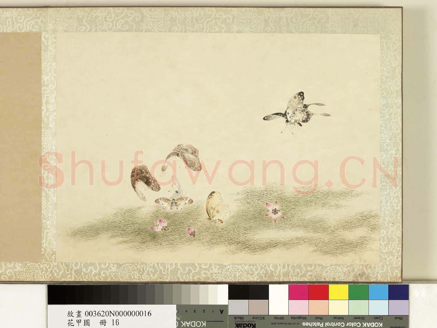花甲圖.冊.蝴蝶(十六)故畫