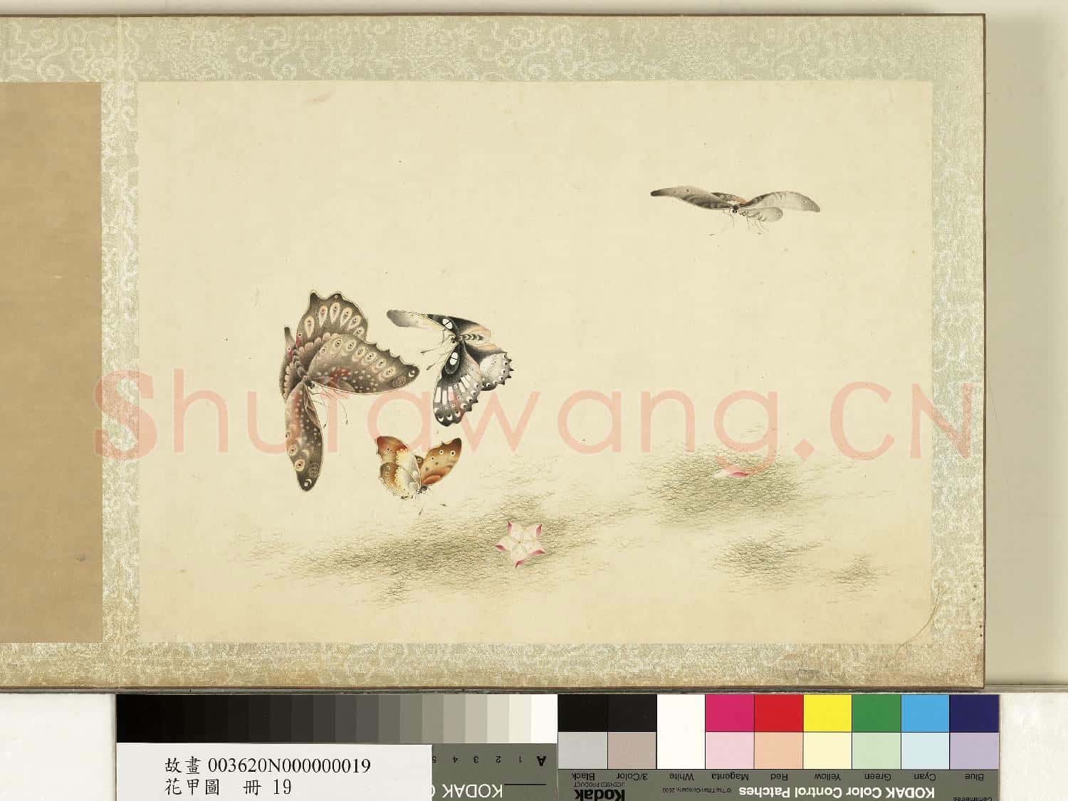 花甲圖.冊.蝴蝶(十九)故畫