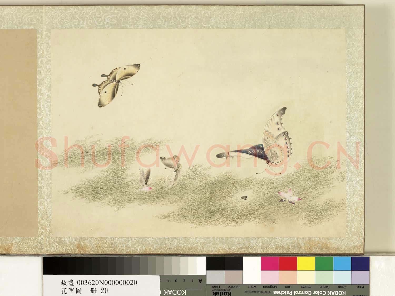 花甲圖.冊.蝴蝶(廿)故畫