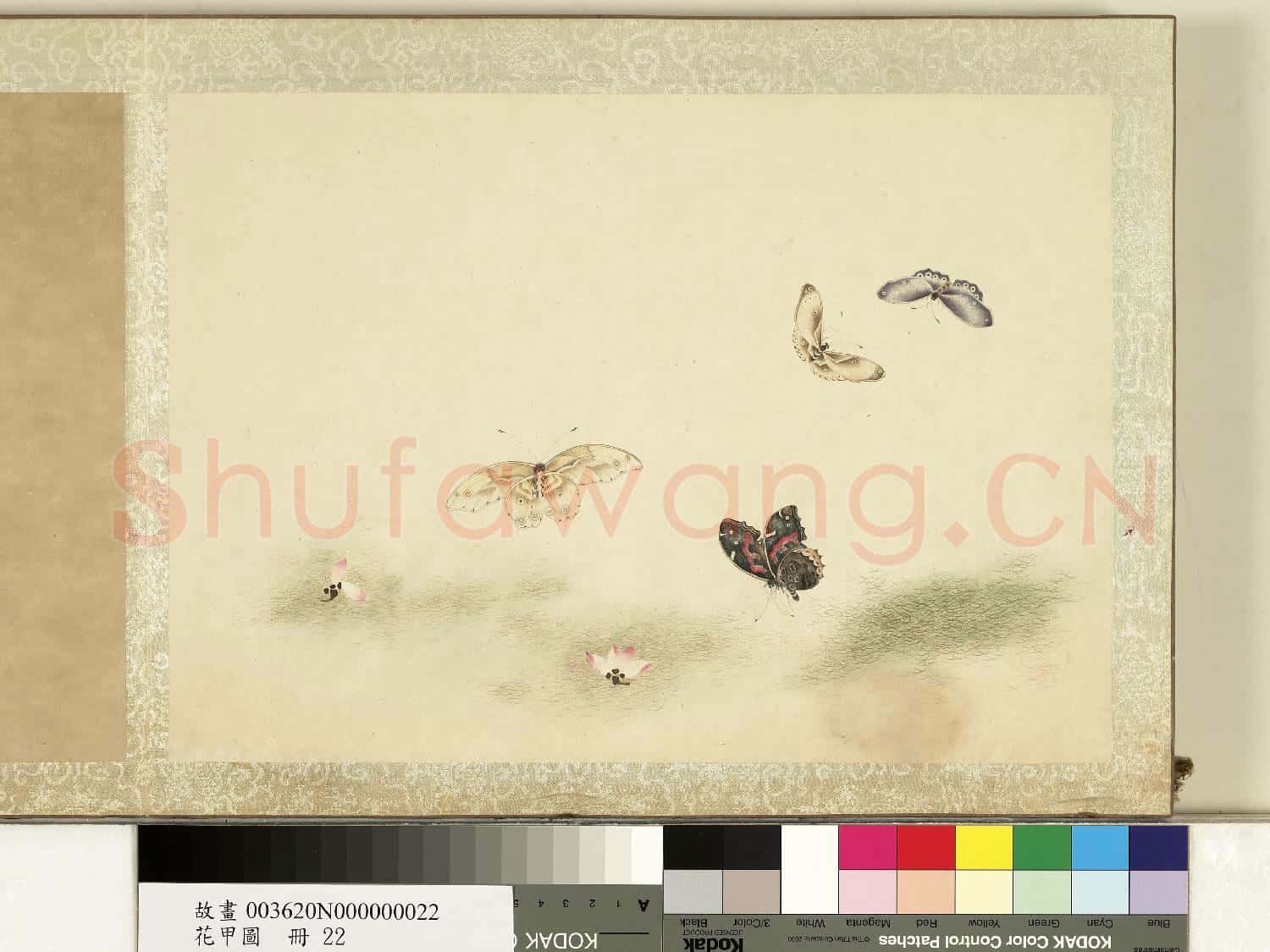花甲圖.冊.蝴蝶(廿二)故畫