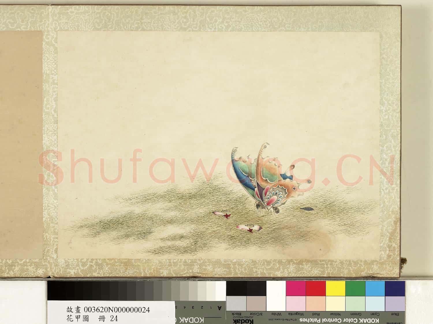 花甲圖.冊.蝴蝶(廿四)故畫