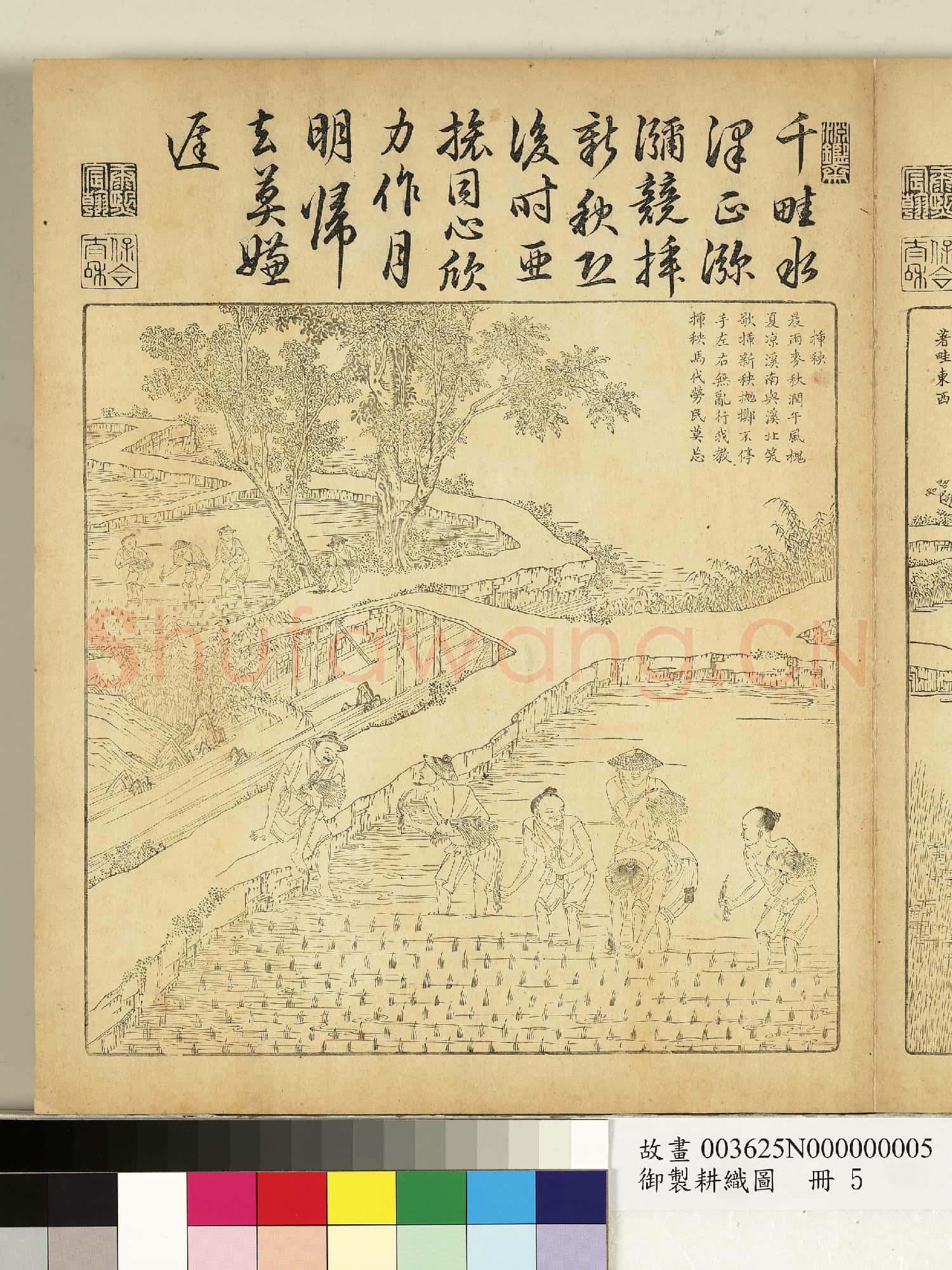 御製耕織圖.冊.拔秧故畫