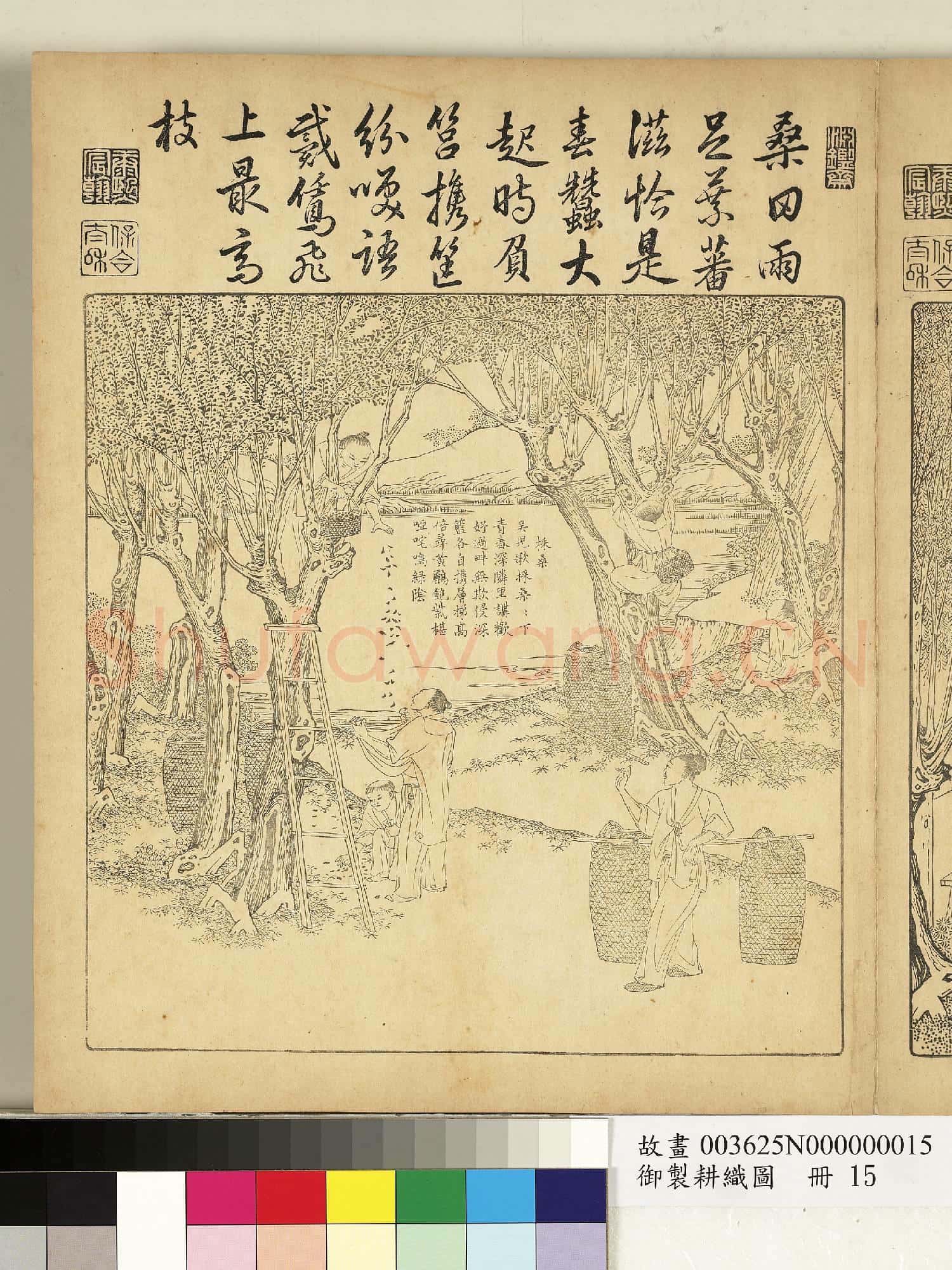 御製耕織圖.冊.分箔故畫