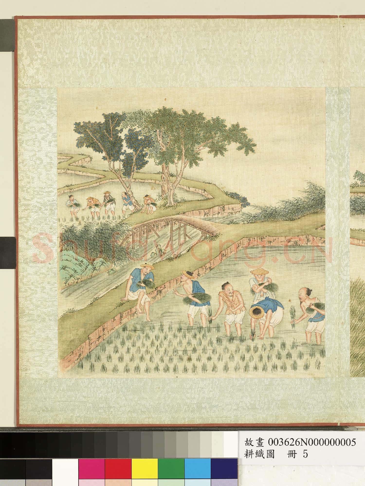 耕織圖.冊.拔秧故畫