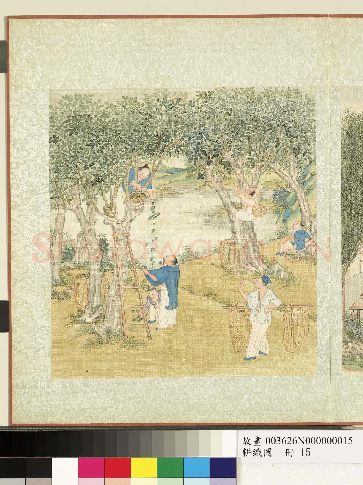 耕織圖.冊.分箔故畫