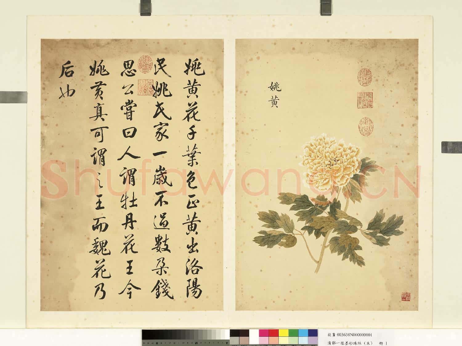 清鄒一桂墨妙珠林(未)冊.姚黃故畫