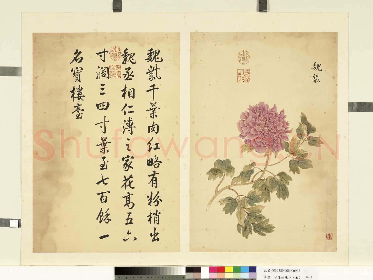 清鄒一桂墨妙珠林(未)冊.魏紫故畫