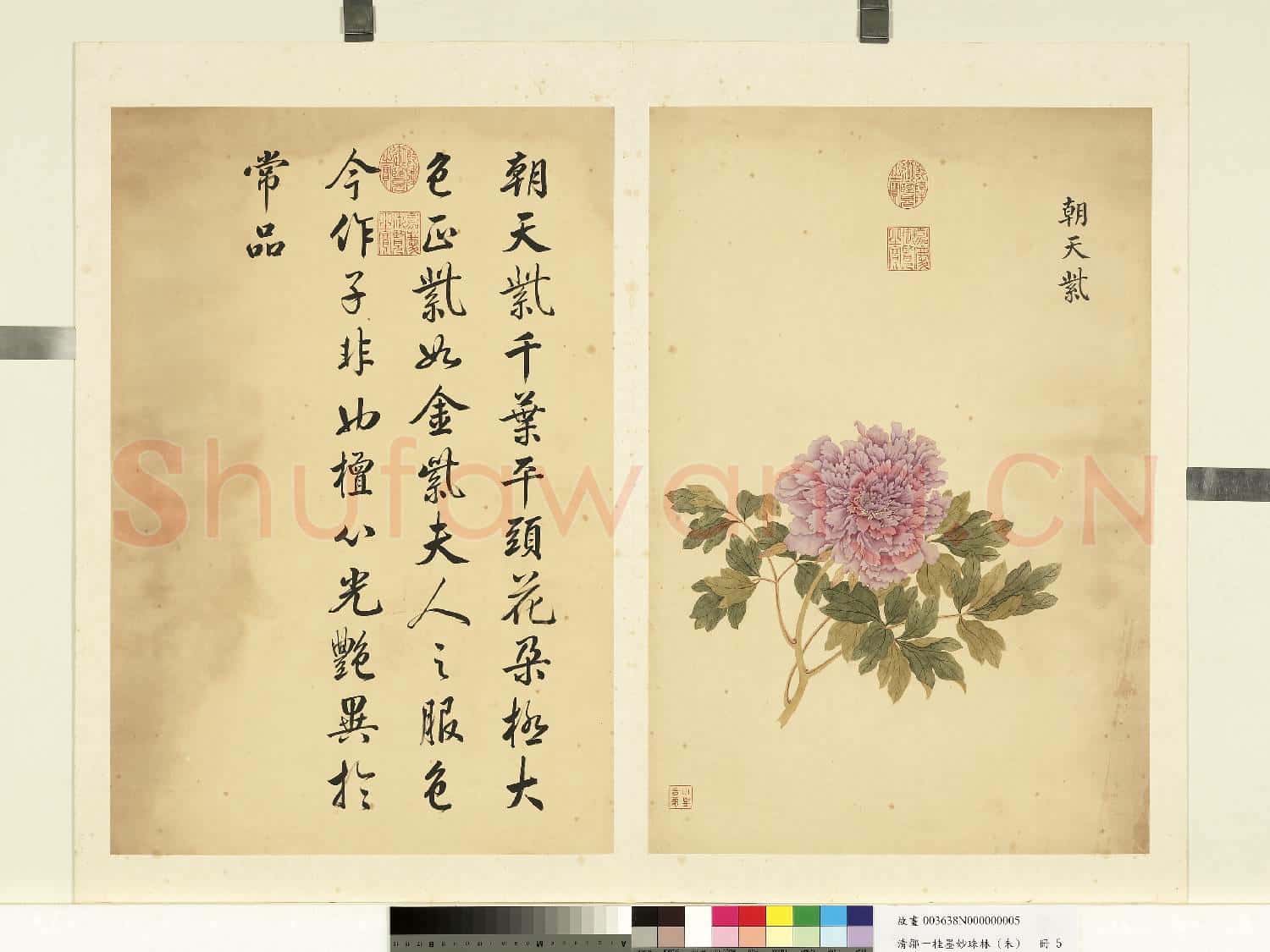 清鄒一桂墨妙珠林(未)冊.朝天紫故畫