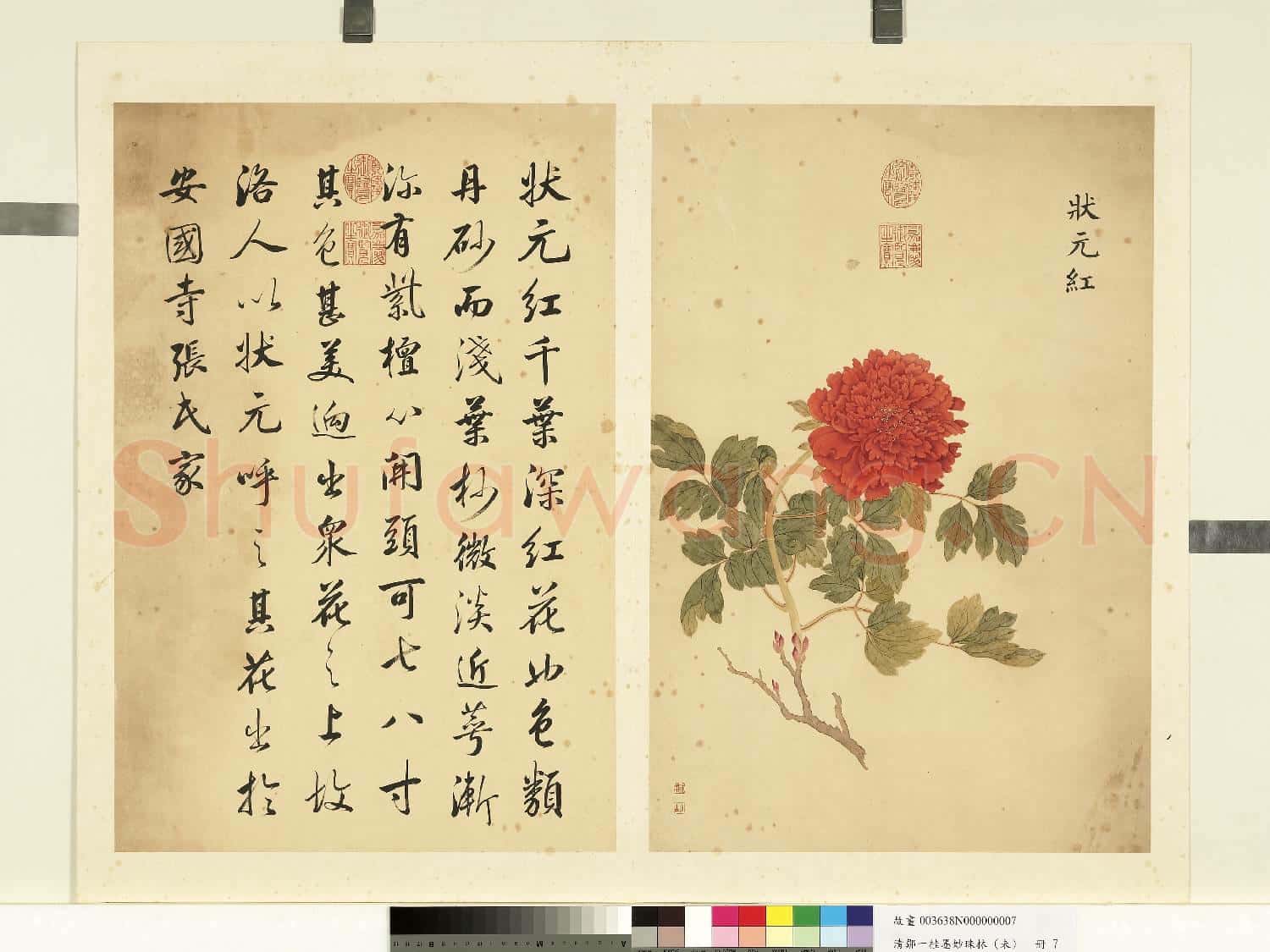 清鄒一桂墨妙珠林(未)冊.狀元紅故畫