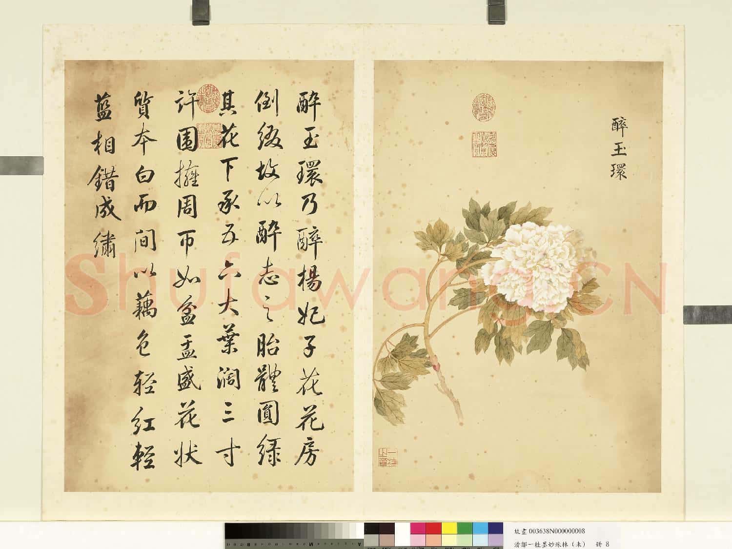 清鄒一桂墨妙珠林(未)冊.醉玉環故畫