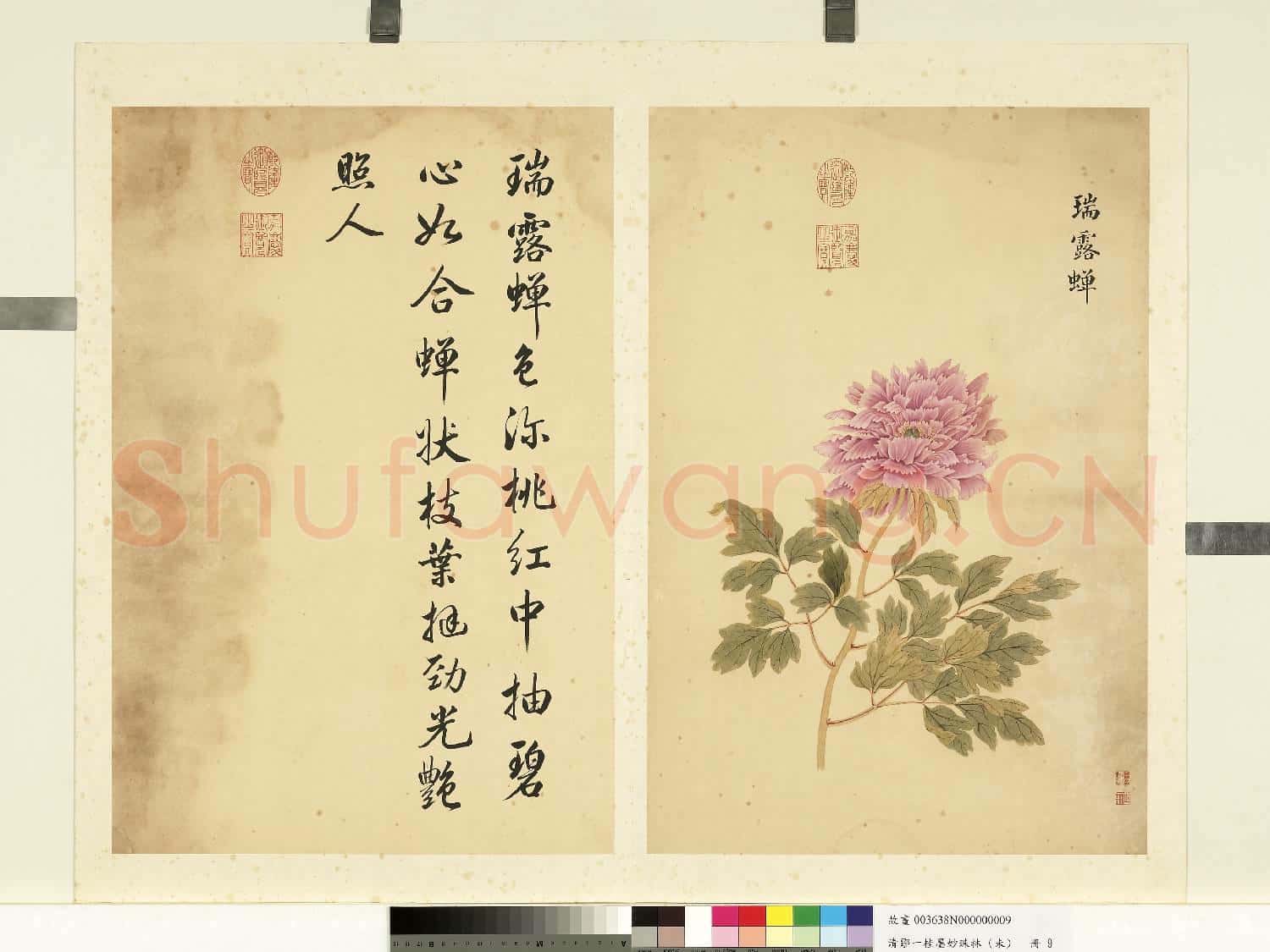 清鄒一桂墨妙珠林(未)冊.瑞露蟬故畫