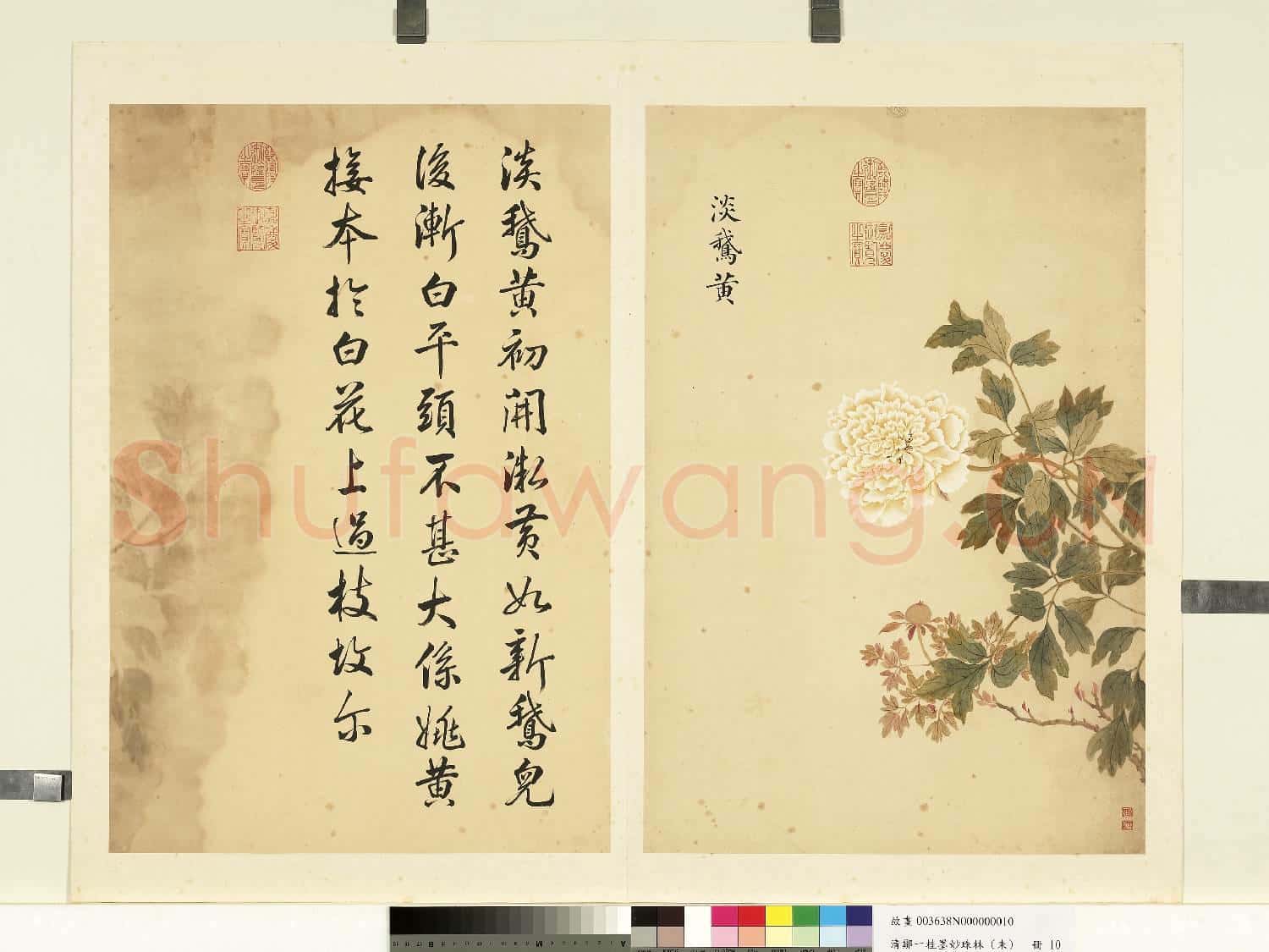 清鄒一桂墨妙珠林(未)冊.淡鵝黃故畫