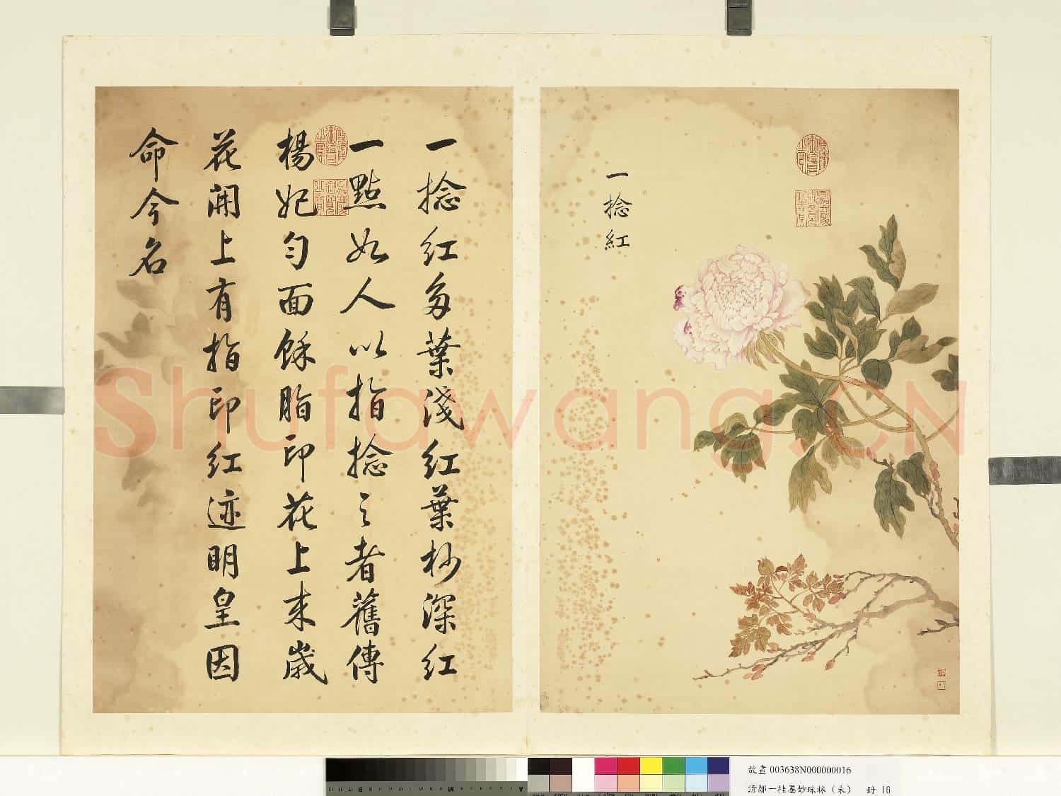 清鄒一桂墨妙珠林(未)冊.一捻紅故畫