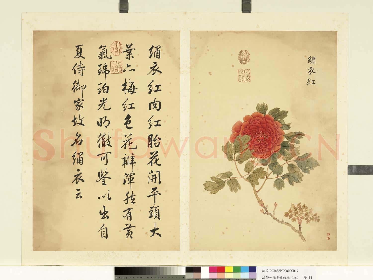 清鄒一桂墨妙珠林(未)冊.繡衣紅故畫