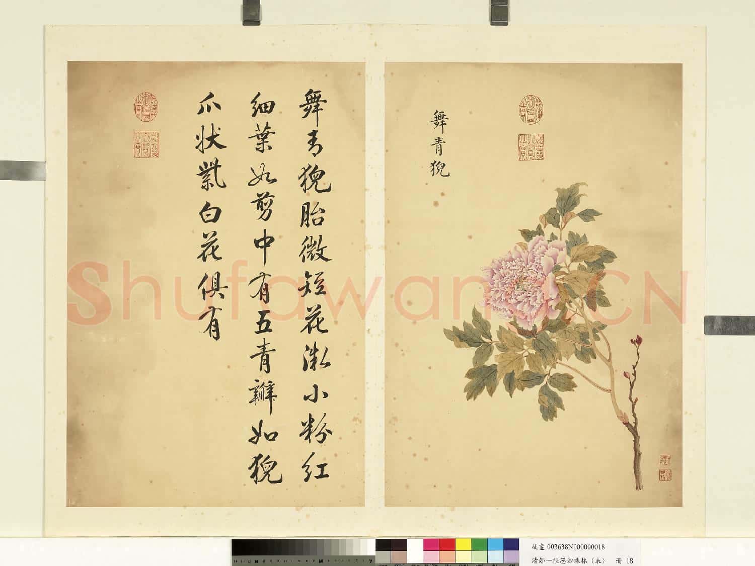 清鄒一桂墨妙珠林(未)冊.舞青猊故畫
