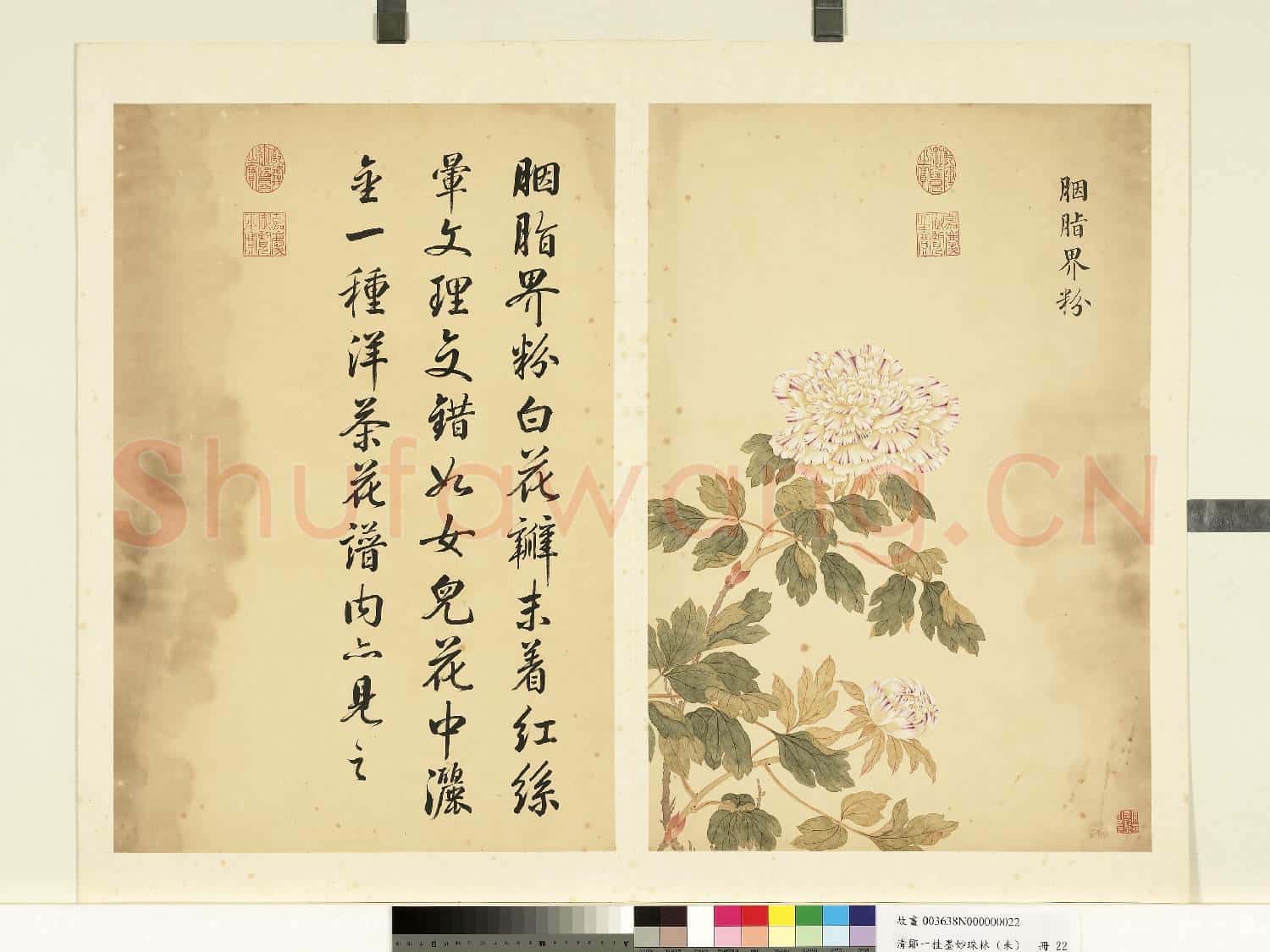 清鄒一桂墨妙珠林(未)冊.胭脂界粉故畫