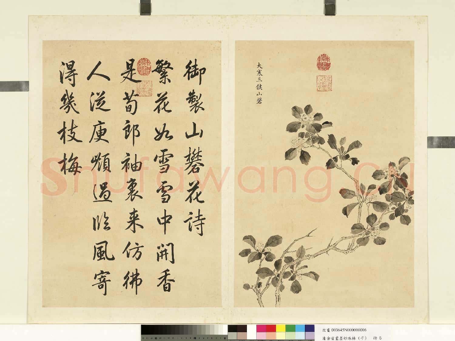 清余省畫