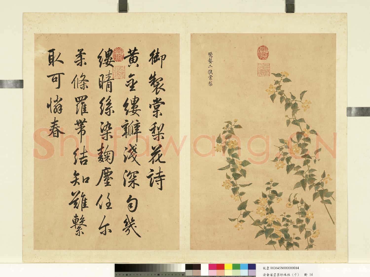 清余省畫