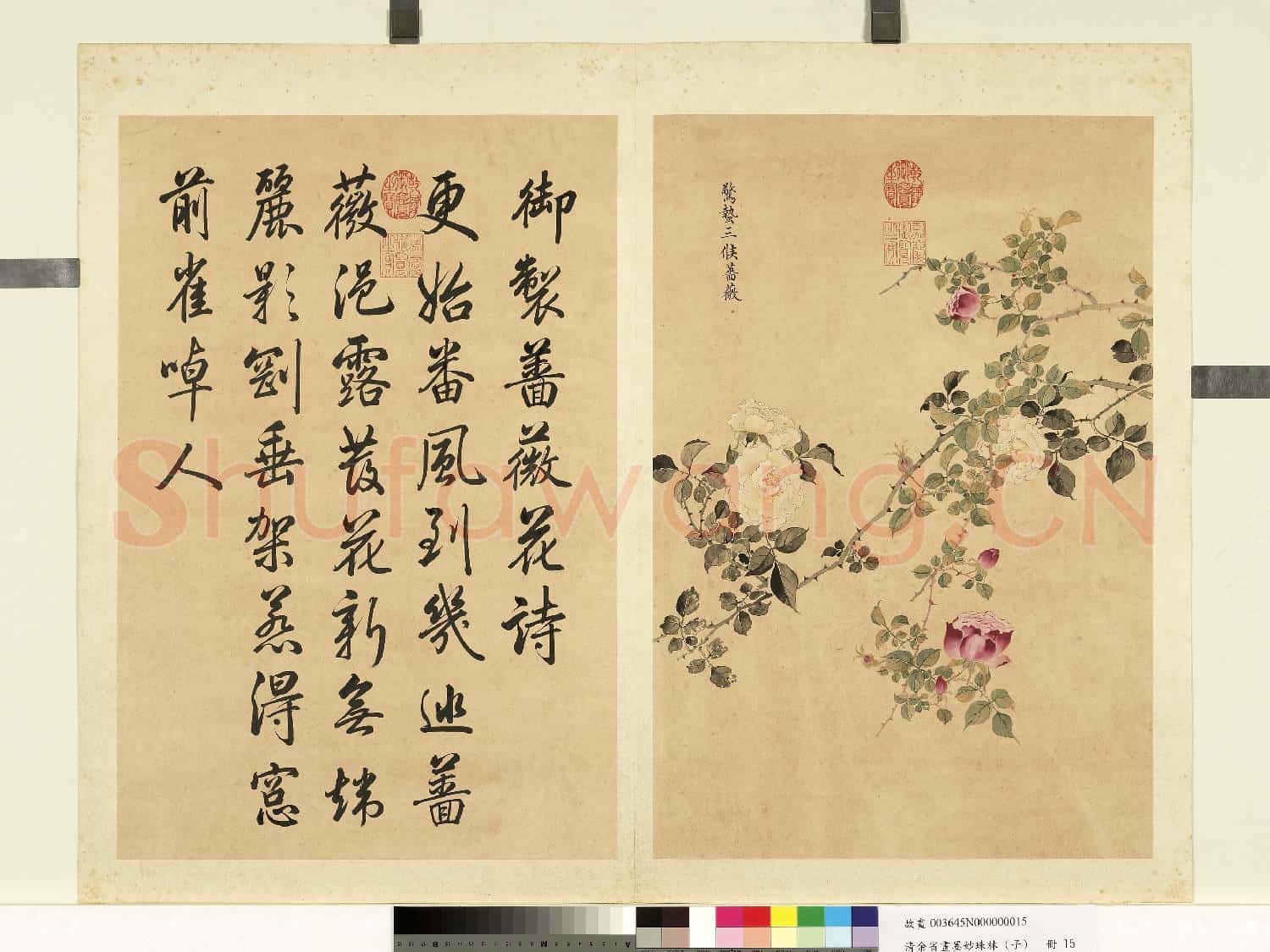 清余省畫