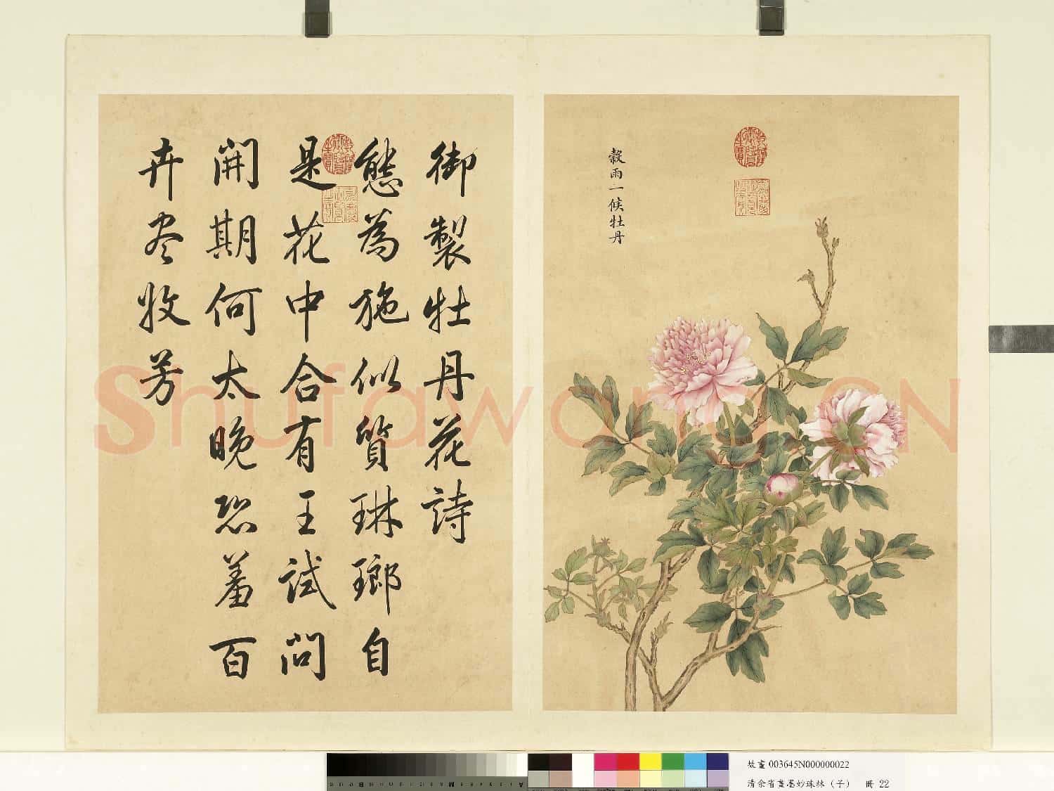 清余省畫
