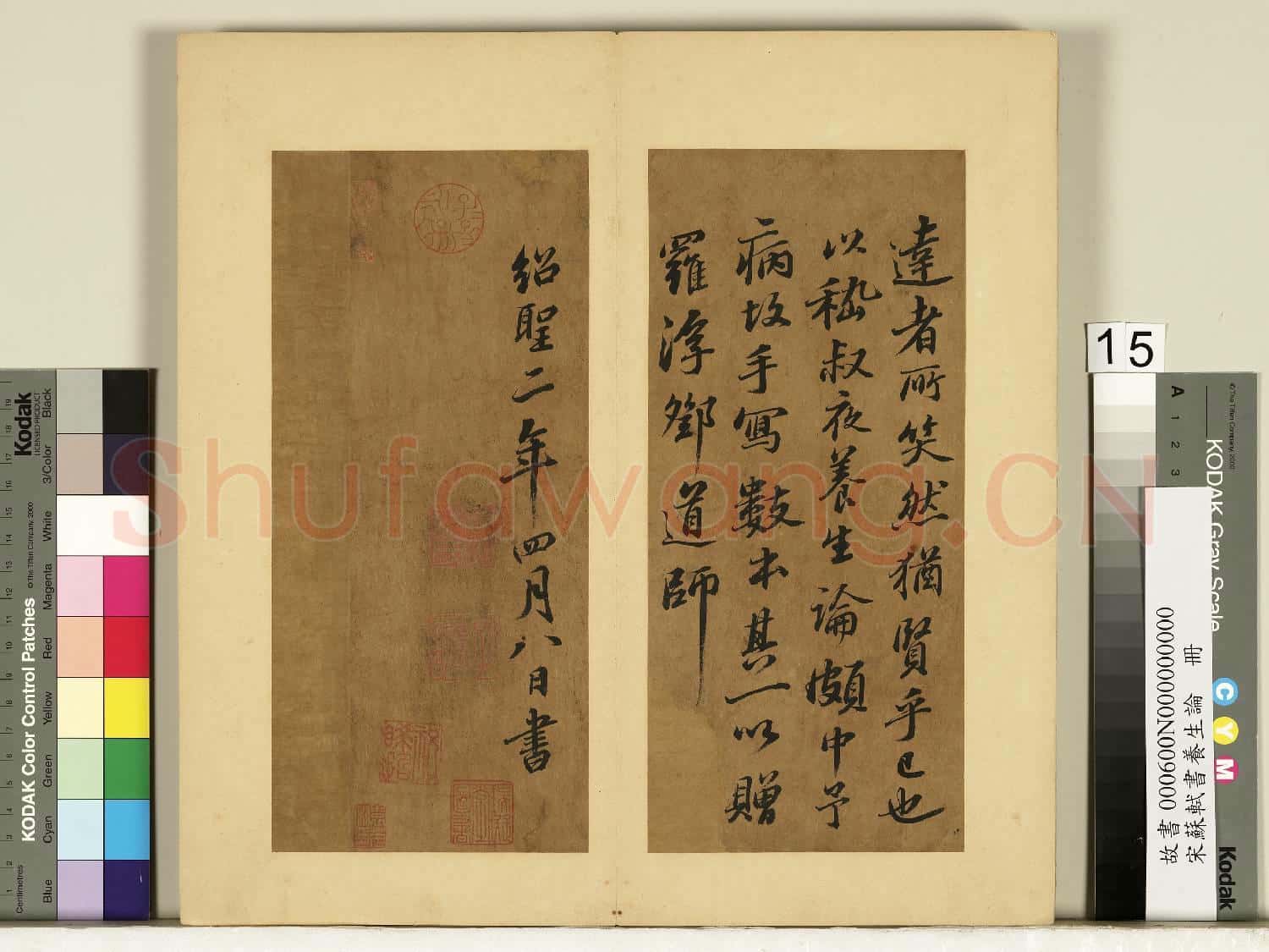宋蘇軾書