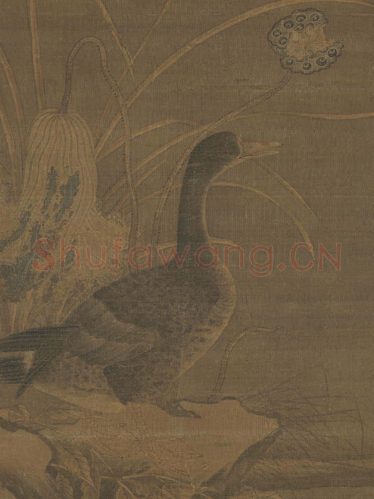 宋人秋荷野鳧圖.軸故畫