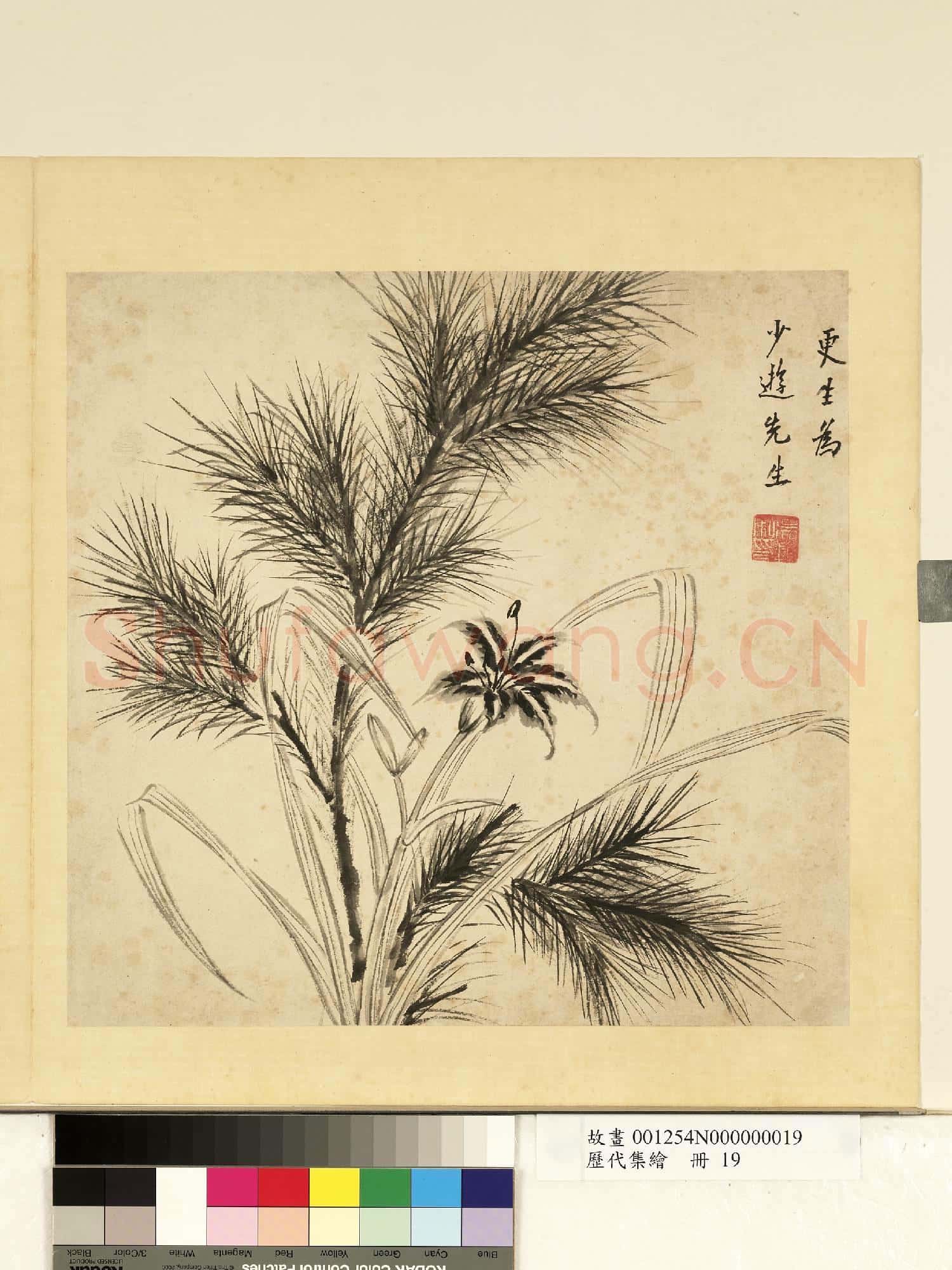 歷代集繪.冊.更生松枝萱草故畫