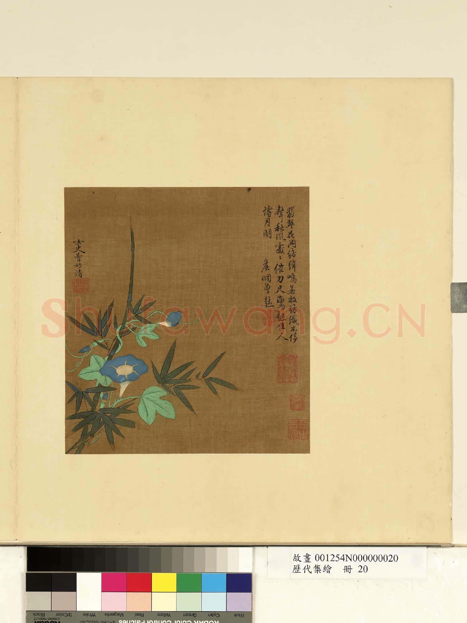 歷代集繪.冊.明曹妙清牽牛花.故畫